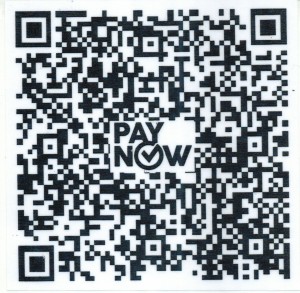 菜市联合宫PAYNOW CODE